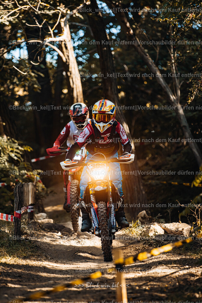 E68A5593 | blick_win_kel