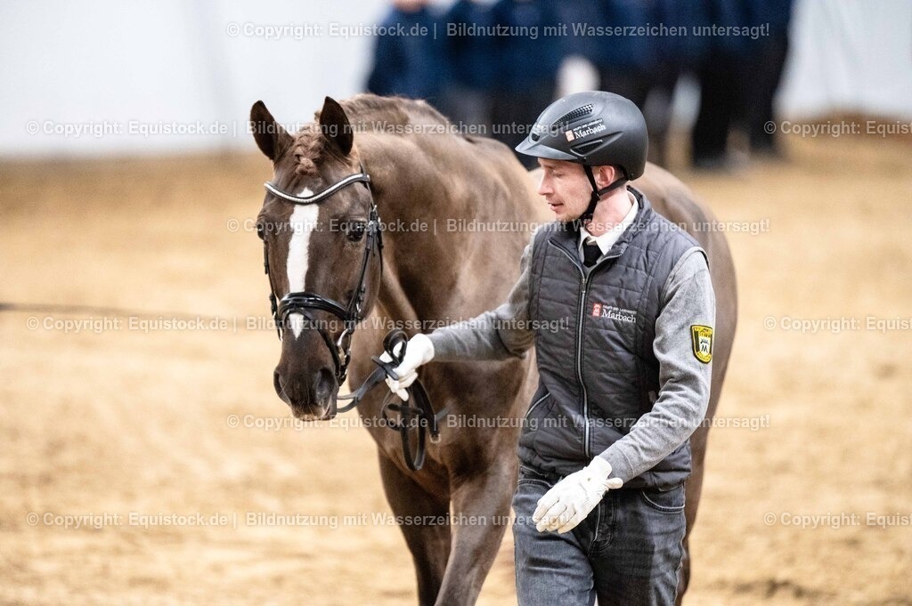 20260307_Hengstvorstellung-Marbach_0547 | equistock