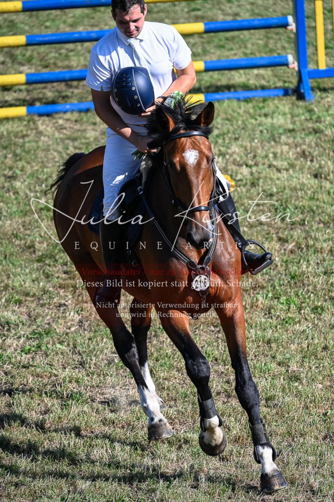 DSC_2624 | Pferde- und Turnierfotografie in Westsachsen. Pferdeportraits, Auftragszeichnungen und intuitive Kunst.