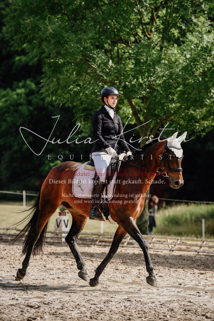 DSC_9836 | Pferde- und Turnierfotografie in Westsachsen. Pferdeportraits, Auftragszeichnungen und intuitive Kunst.