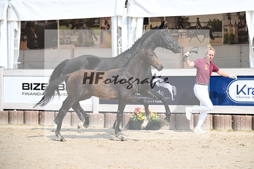 Escaneno x Ganymedes_HF_Amann_12250187 | hf-fotografie - Realisiert mit Pictrs.com