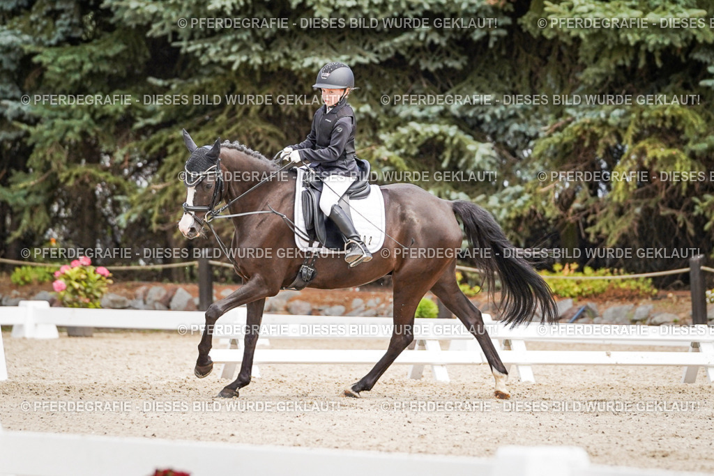 DSC02767 | Pferdegrafie