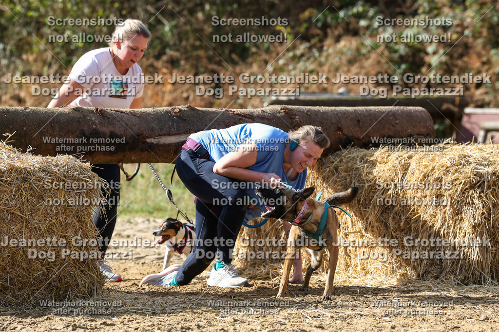 Dog Paparazzi - Strongdog 10-25-5463 | Dog Paparazzi Jeanette Grottendiek Fotografie & Videografie - Realisiert mit Pictrs.com