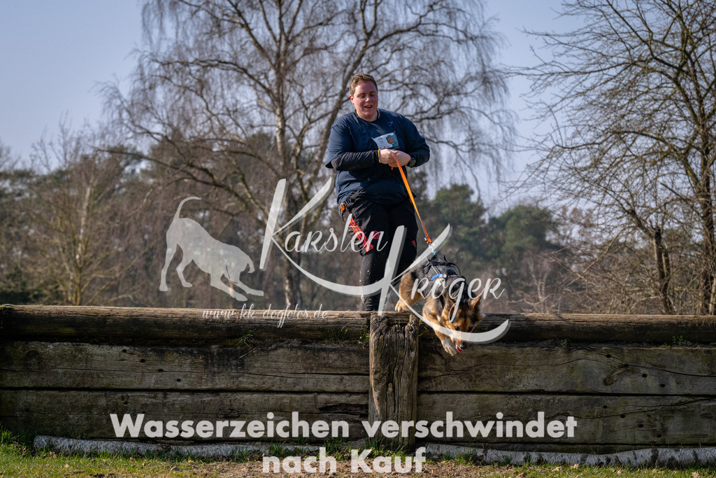 _ZZ91253 | kk-dogfotos