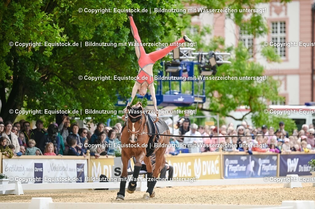 20250608_CVI-Masterclass_0071 | Foto: Thomas Hartig