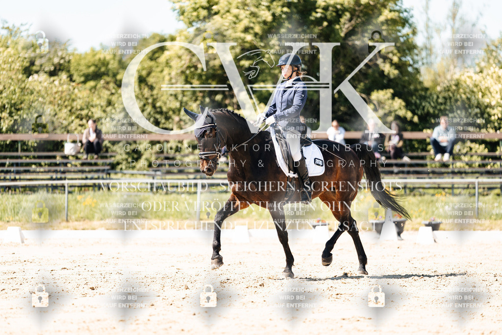 CK905288 | Turnierfotografie Pferdefotografie Trier Rheinland-Pfalz Pferdesport Reitsport Tierfotografie Sportfotografie Pferdevideo Pferdevideografie Equestrianvideography equestrianphotography  - Realisiert mit Pictrs.com