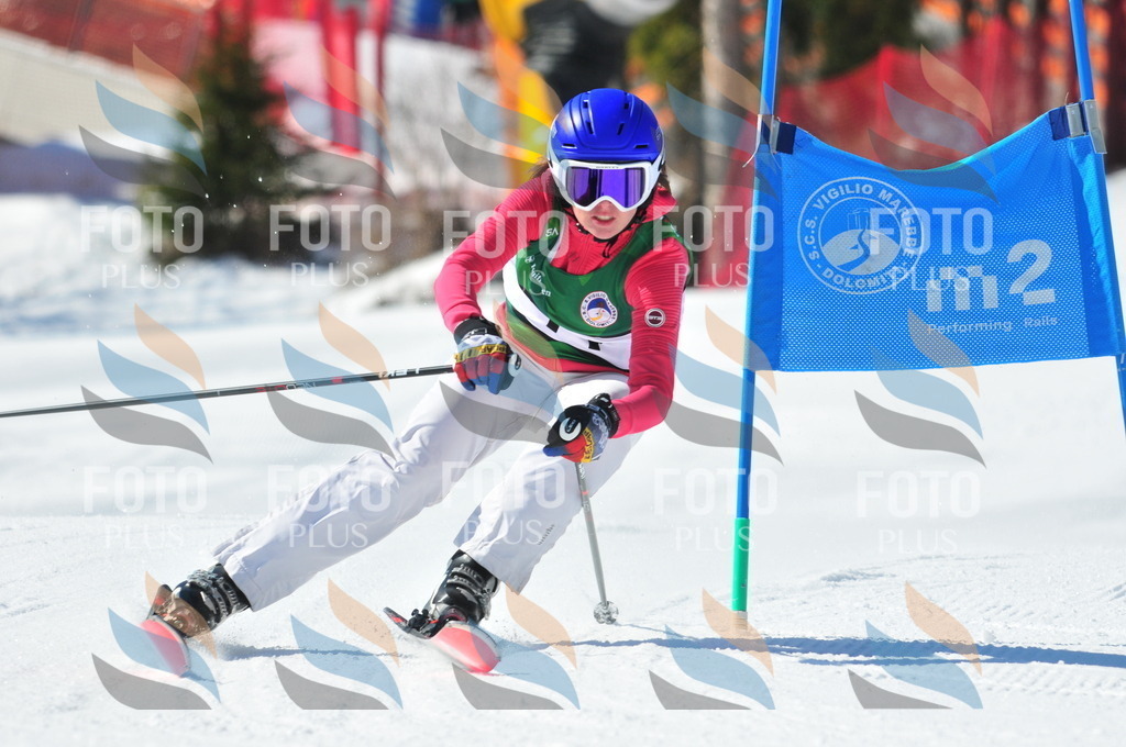 C4179 | holidayphoto