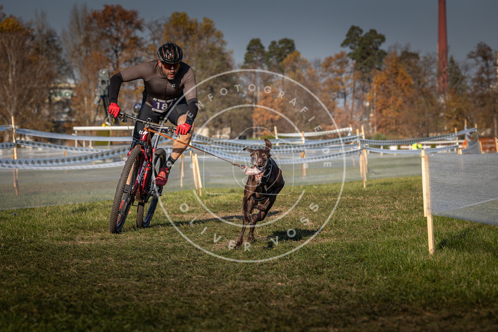 CaniXpix_0L8A6127 | Hundefotografie, Tierfotograf, Pfotenfotografie, Fotoshooting Hund, Hunde Portrait, Hundesport, Hundeportraits, Heideshooting, Hunde, Sportfotograf, Hundefotograf, Turnierhundsport, THS,  - Realisiert mit Pictrs.com