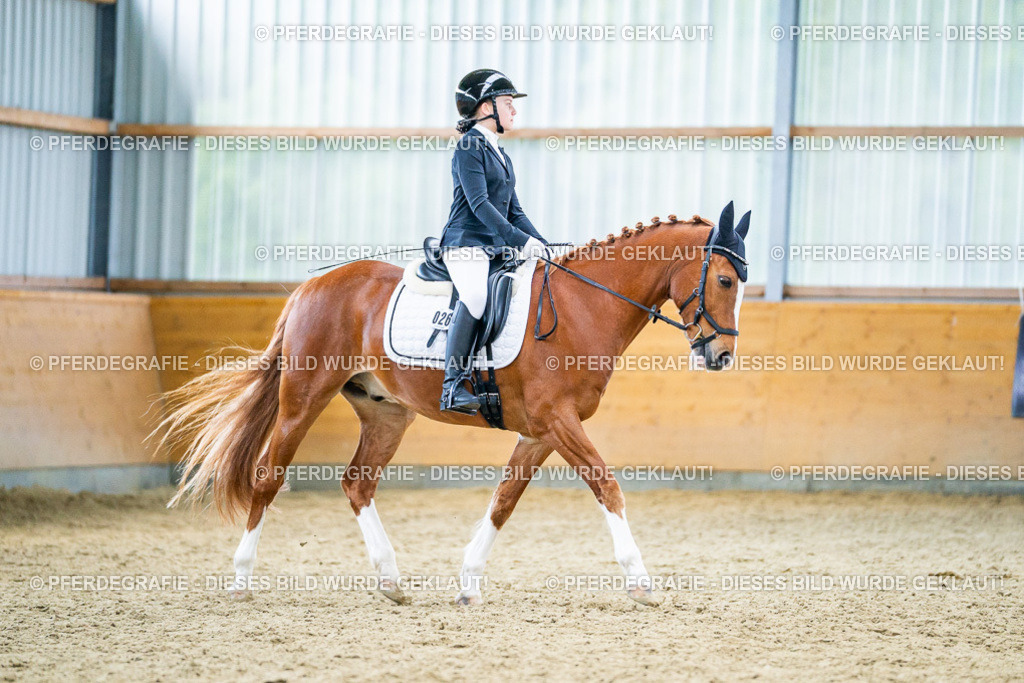 DSC04723 | Pferdegrafie