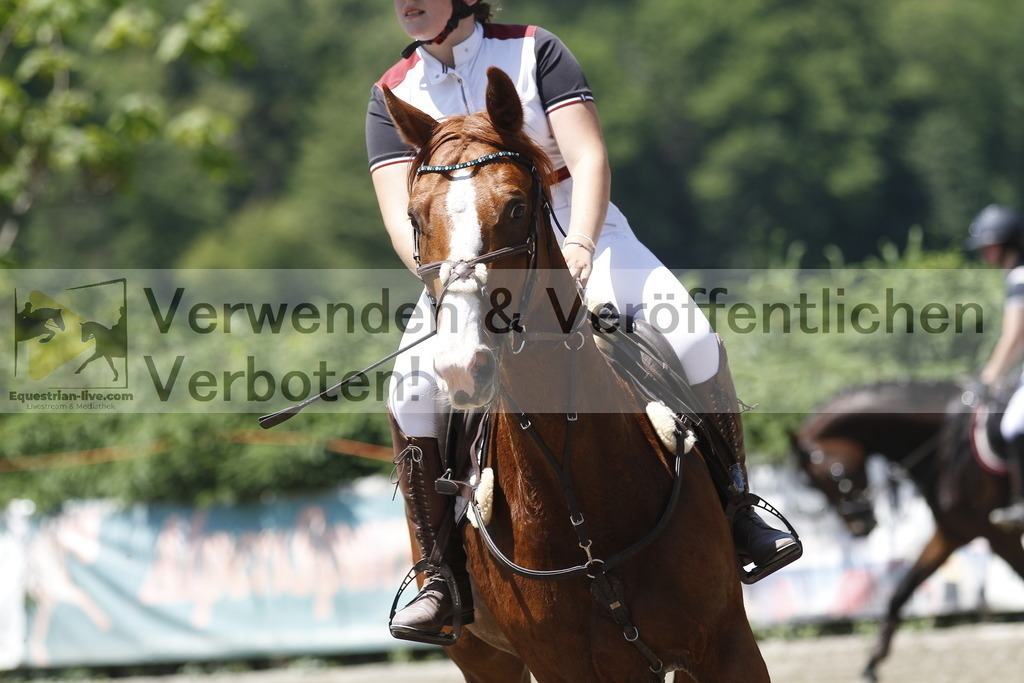 _MG_3503 | equestrian-live-com