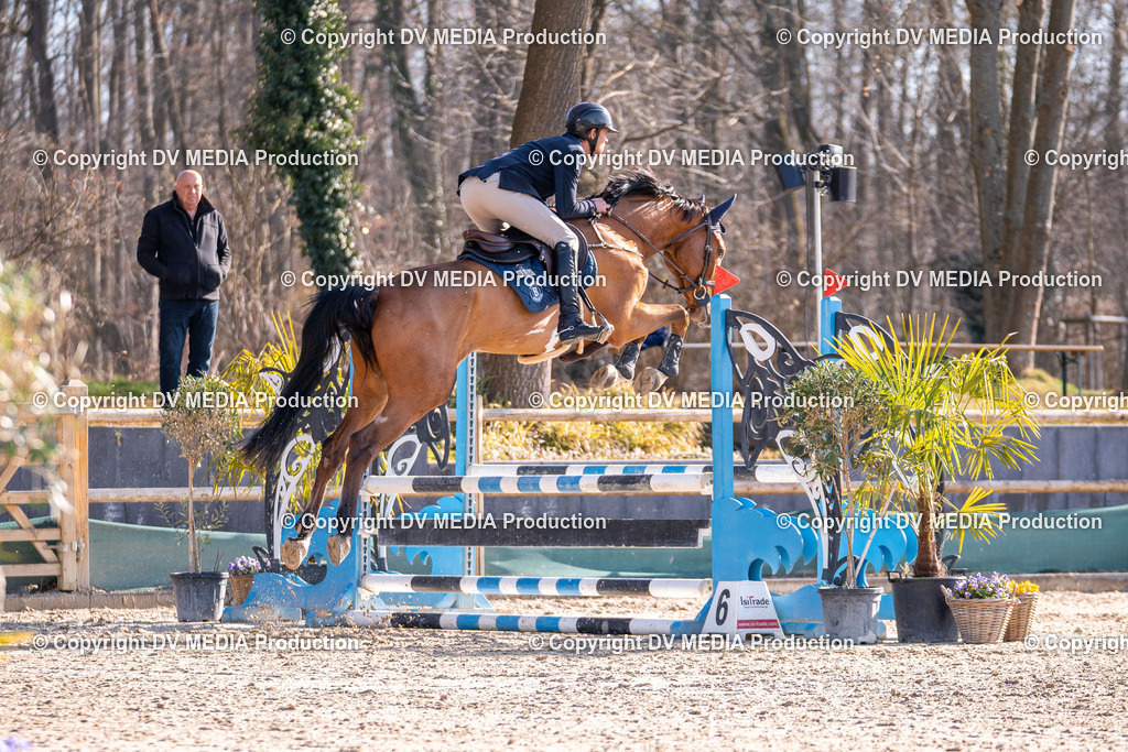 Kranichstein Tag 1-273 | dv-media-shop - Realisiert mit Pictrs.com