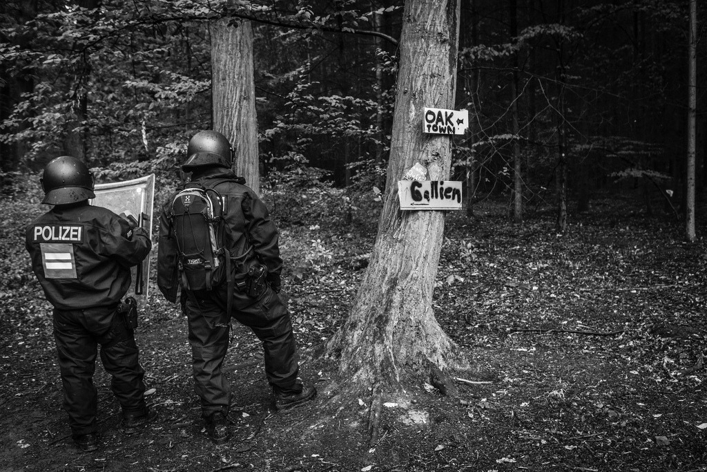 20180913_BL61678 | Hambi, Hambacher Forst 2018 - Realisiert mit Pictrs.com
