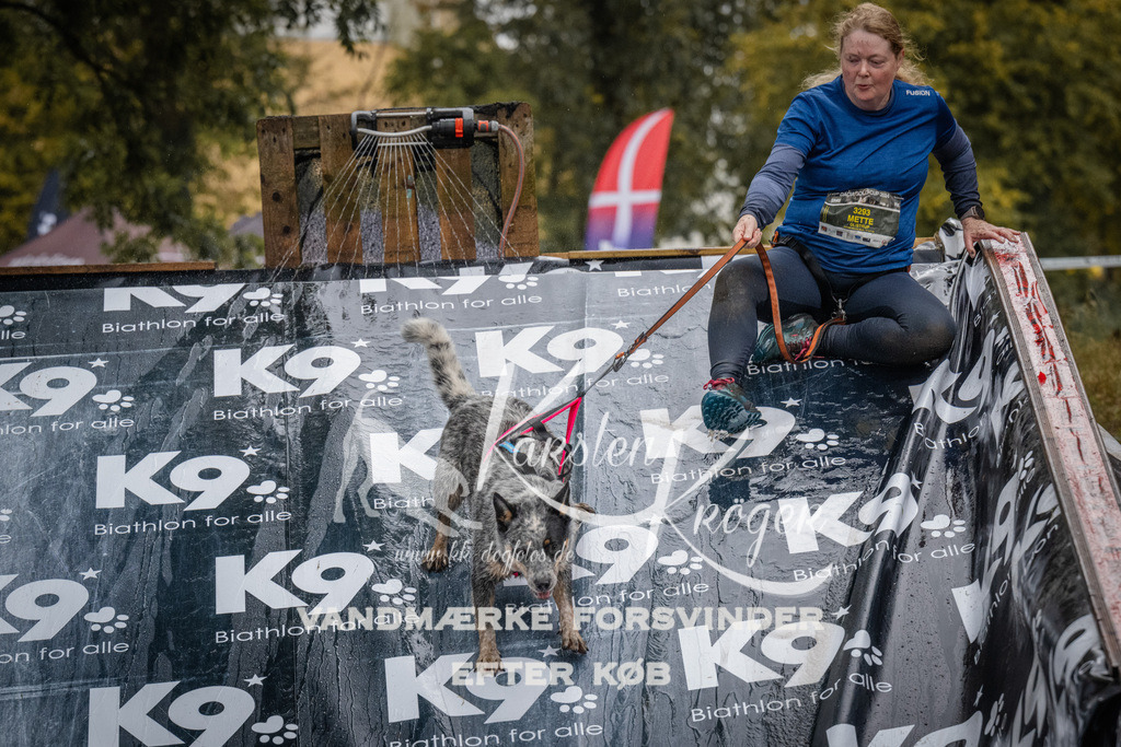 1157_ZZ94010 | kk-dogfotos