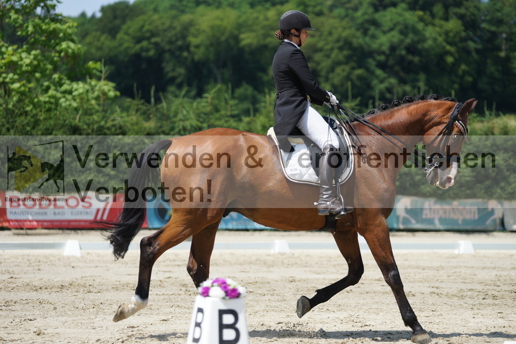 DSC05222 | equestrian-live-com