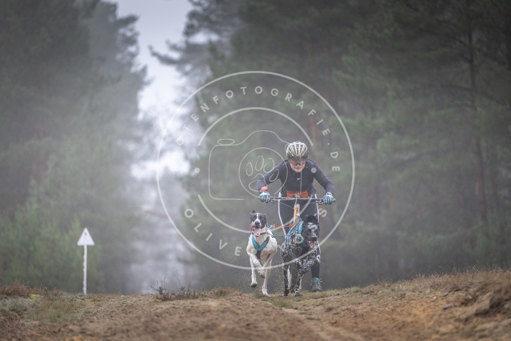 Pfotenfotografie_DV3A0779 | Hundefotografie, Tierfotograf, Pfotenfotografie, Fotoshooting Hund, Hunde Portrait, Hundesport, Hundeportraits, Heideshooting, Hunde, Sportfotograf, Hundefotograf, Turnierhundsport, THS,  - Realisiert mit Pictrs.com