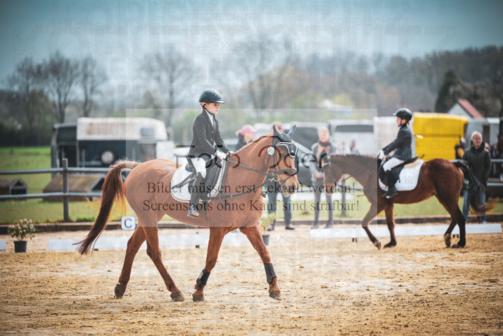 DOS_6616 | Entdecke hochwertige Reitturnierfotos von Foto Oger. Professionell, emotional und authentisch – jetzt Lieblingsmomente im Shop bestellen.Deutschlandweite Turnierfotografie. - Realisiert mit Pictrs.com