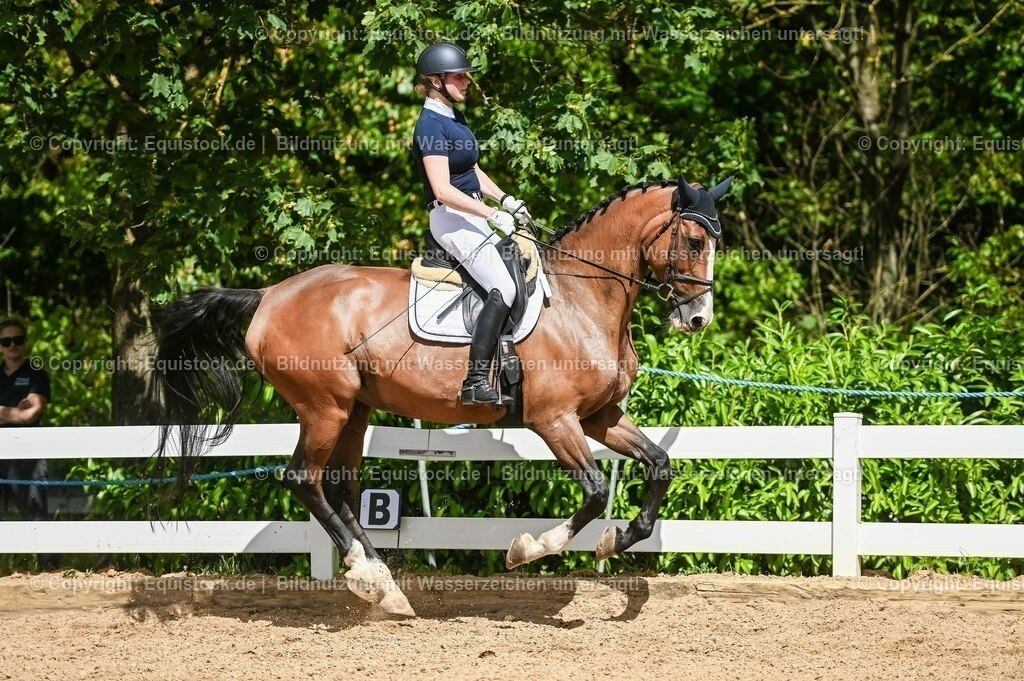 20230715_02_Dressurreiterprüfung Kl.L_0339 | equistock