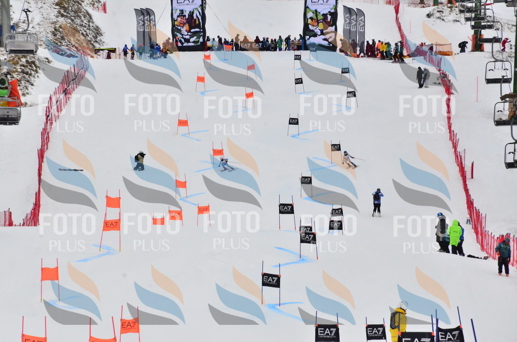 _ELE3719 | holidayphoto