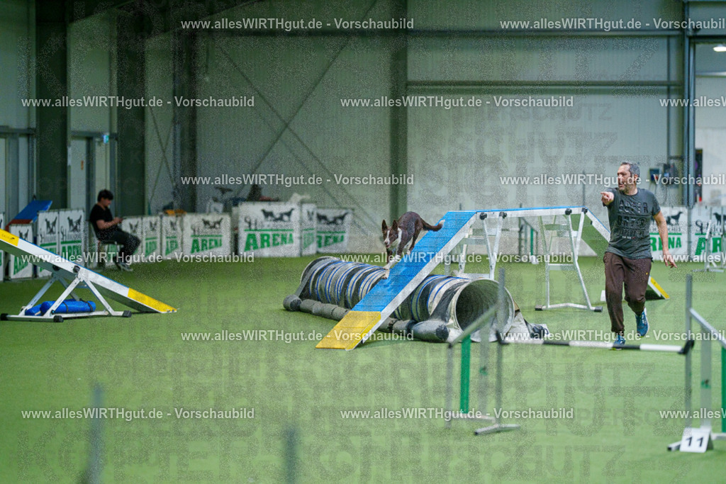 @allesWIRTHgut_Tierfotografie - www.allesWIRTHgut.de - 2604250837-7R507181 | Professionelle Tierfotografie in Mönchengladbach von Daniel Wirth (allesWIRTHgut). Liebevolle & natürliche Bilder von Hunden & Katzen für unvergessliche Erinnerungen.