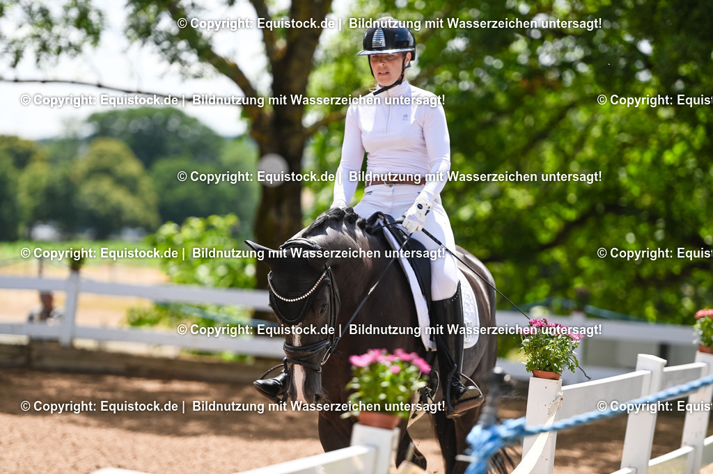 20230716_03_Dressurprfg. Kl.L - Tr._0053 | equistock