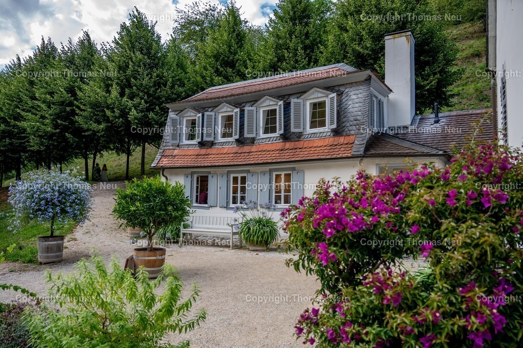 DSC_1679 | Der Staatspark Fürstenlager in Bensheim Auerbach, an der hessischen Bergstraße- ist ein wunderschöner Landschaftspark nach englischen Vorbild. Es war die Sommerresidenz der Darmstädter Fürstenfamilie die hier das "einfache Landleben" genossen. Zu jeder Jahreszeit kann man das Fürstenlager als Ausflugsziel empfehlen. Im Herrenhaus ist eine Gastronomie untergebracht. Im Sommer findet auf der Bühne vor der großen Wiese ein Opern-Air statt, 