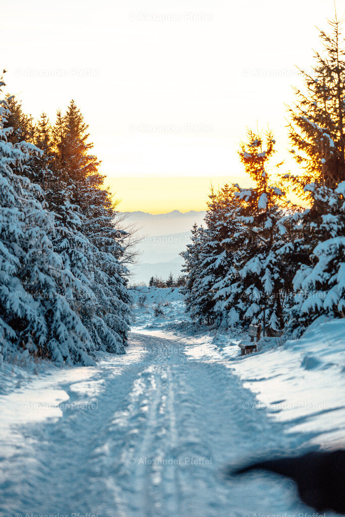 foto_c_pfeffel-partner-0154-R52_0544 | alexander-pfeffel - Realisiert mit Pictrs.com