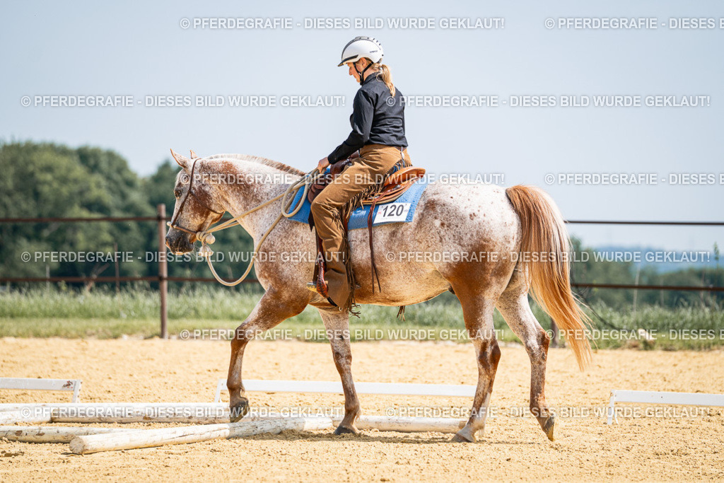 DSC00524 | Pferdegrafie