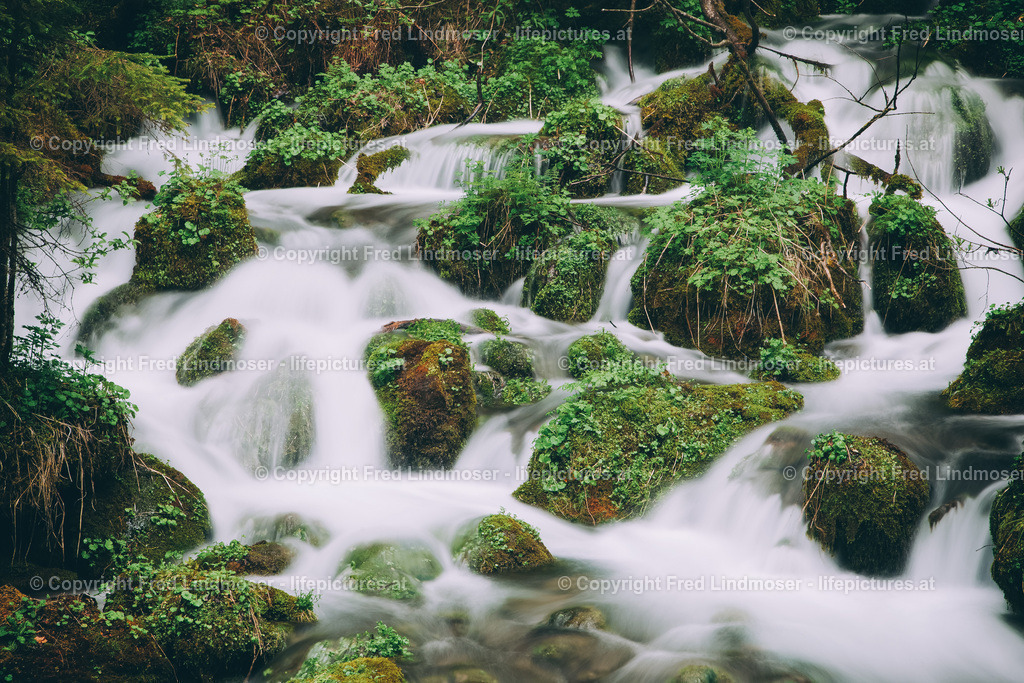 Klaefferquelle_IMG_8330 | Fotos und Fotoprodukte - Realisiert mit Pictrs.com