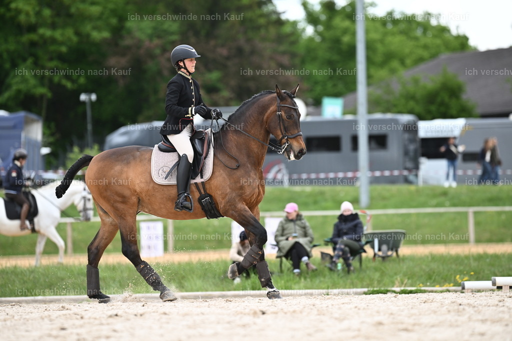 PI26_ST_Sara_Landvogt226_2816.JPG | working equitationturnier fotograf videograf stoibphotography marixx film working equitation deutschland reitsport turnierfotografie eventfotografie equestrian events