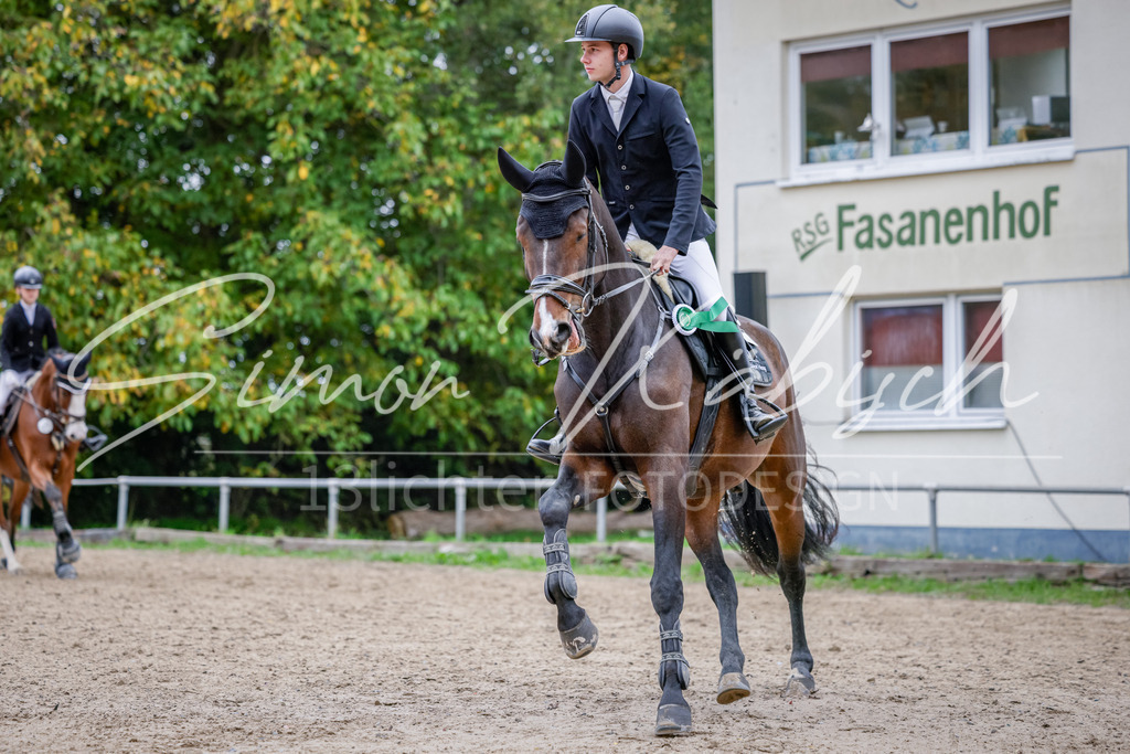 20251012-_3LI4298 | Tierfotografie Pferde, Hunde, Katzen, Haustiere.
Turnierfotografie Reitturniere, Reiten, Springreiten, Dressur in Hanau, dem Main-Kinzig-Kreis und dem Rhein-Main- Gebiet um Frankfurt