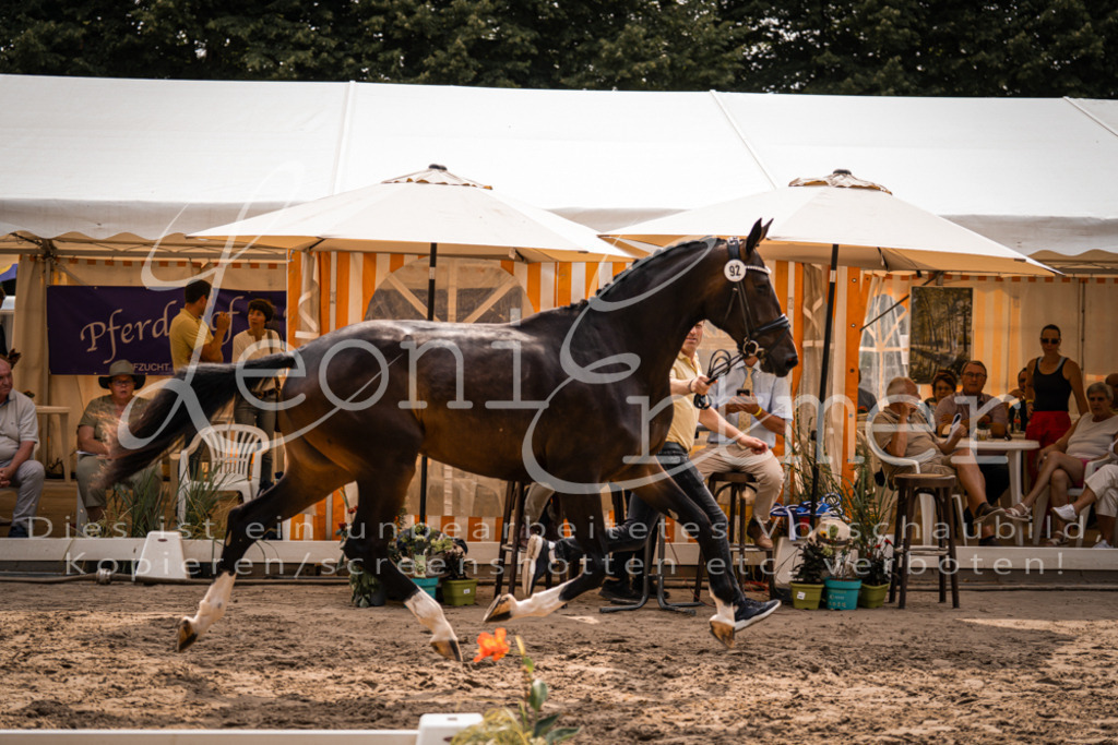 6.Fr00037 | Leoni Ertmer Photography - Realisiert mit Pictrs.com