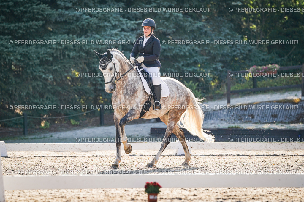 DSC08563 | Pferdegrafie