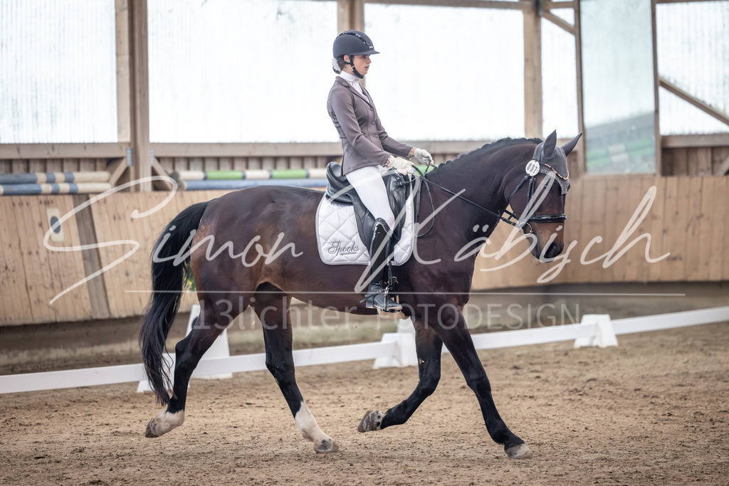 20251011-_3LI9667 | Tierfotografie Pferde, Hunde, Katzen, Haustiere.
Turnierfotografie Reitturniere, Reiten, Springreiten, Dressur in Hanau, dem Main-Kinzig-Kreis und dem Rhein-Main- Gebiet um Frankfurt