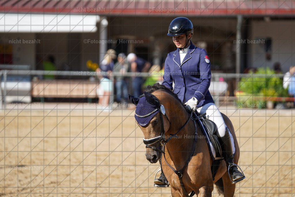 20240824-FAH07323 | Thierhaupten 2024, Bayerisches Landesponyturnier, Turnierbilder, Ponybilder, Turnierfotografen Bayern, Fotoagentur Herrmann