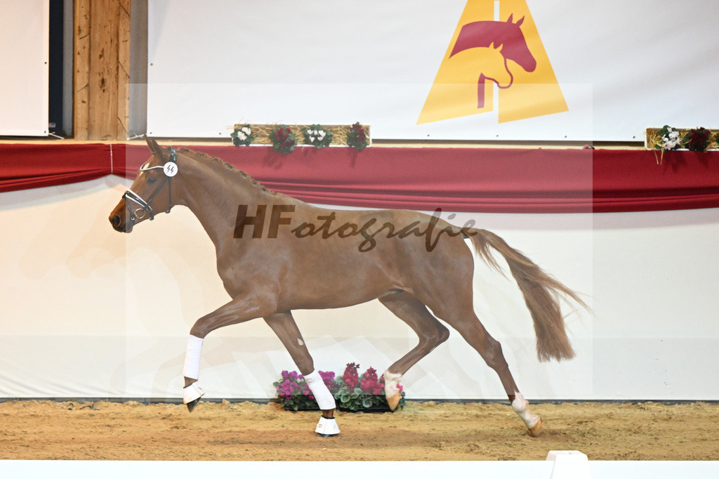Kat-Nr. 44 Donier_Hertweck_1230050 | hf-fotografie - Realisiert mit Pictrs.com