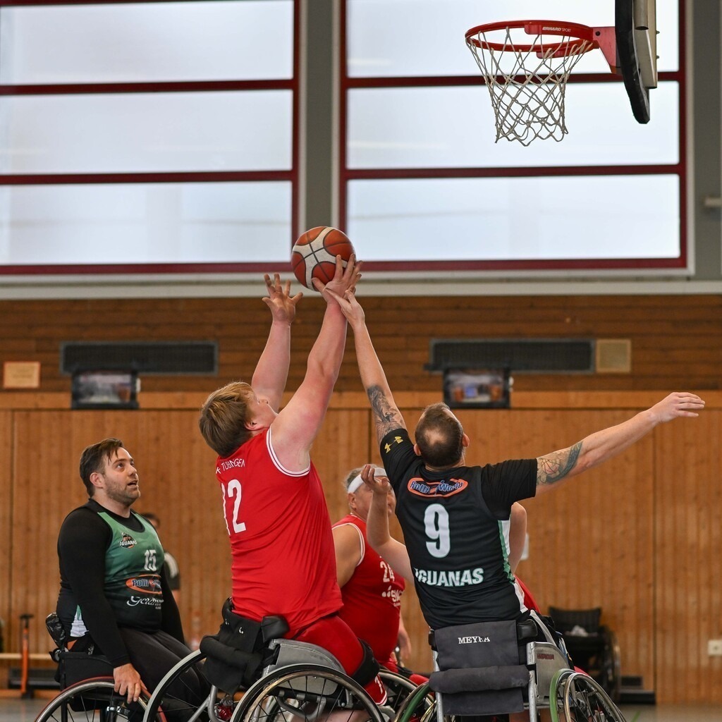 2025-11-30-Ralph_Kunze-4773 | Ralph Kunze - Realisiert mit Pictrs.com