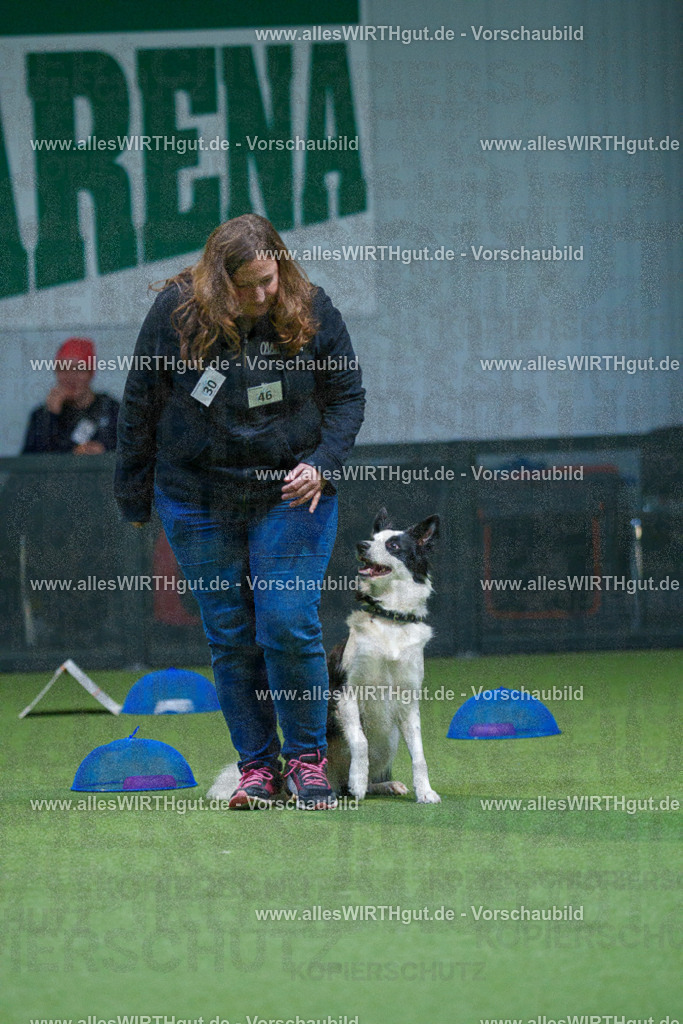 7R501384 | Professionelle Tierfotografie in Mönchengladbach von Daniel Wirth (allesWIRTHgut). Liebevolle & natürliche Bilder von Hunden & Katzen für unvergessliche Erinnerungen.