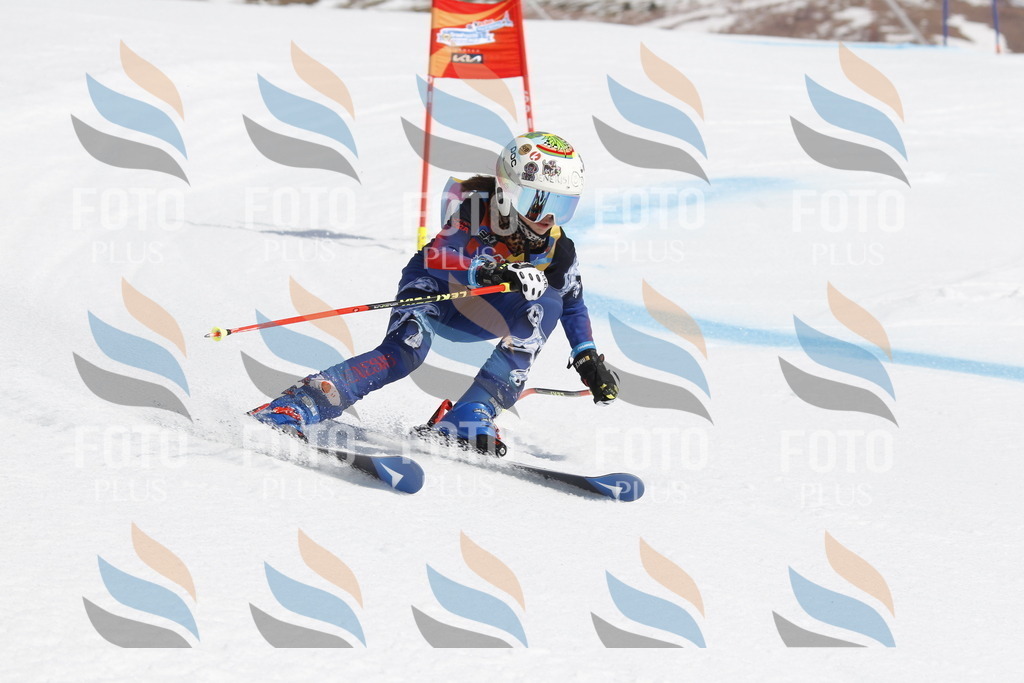 _U3G1427 | holidayphoto