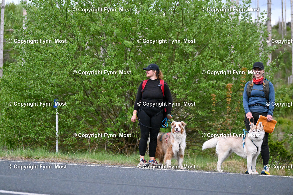 DSC_6510 | Hallo und herzlich Willkommen auf meiner Shop-Seite Fynn Most.

Ich wünsche Dir viel Spaß beim stöbern durch die Bilder, wenn Du Fragen hast oder Bilder vermisst, kannst du mir gerne eine Nachricht schreiben. - Realisiert mit Pictrs.com