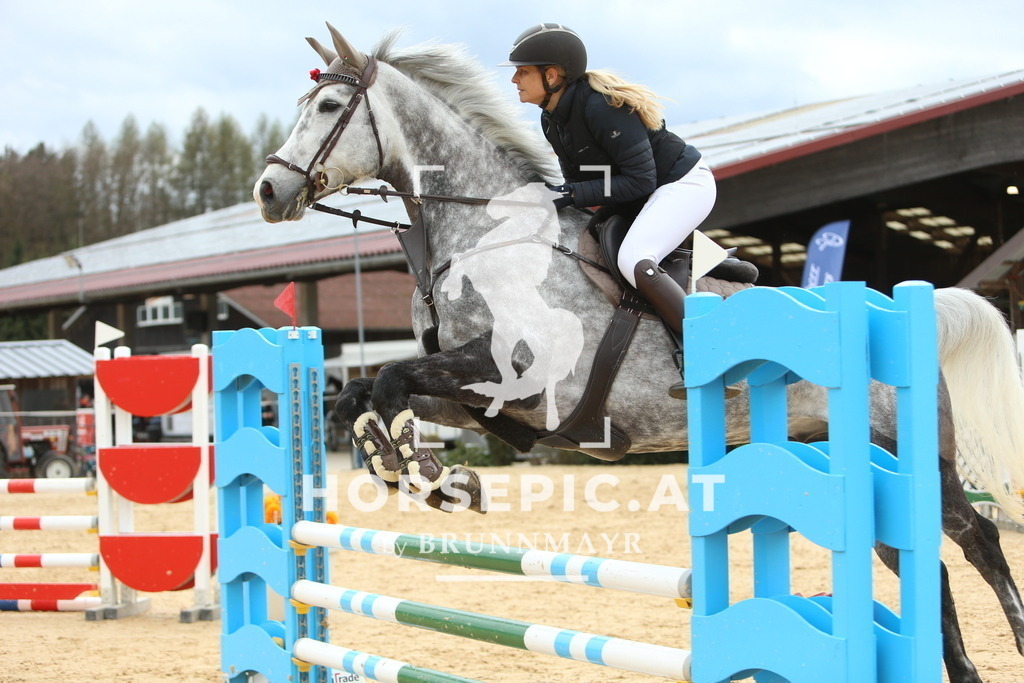 DL2Q2559 | Willkommen bei Brunnmayr - Design & Fotografie – Ihrem Spezialisten für Reitturniere und Pferdeveranstaltungen in Oberösterreich, Salzburg und Bayern! Seit über 17 Jahren sind wir leidenschaftlich dabei.