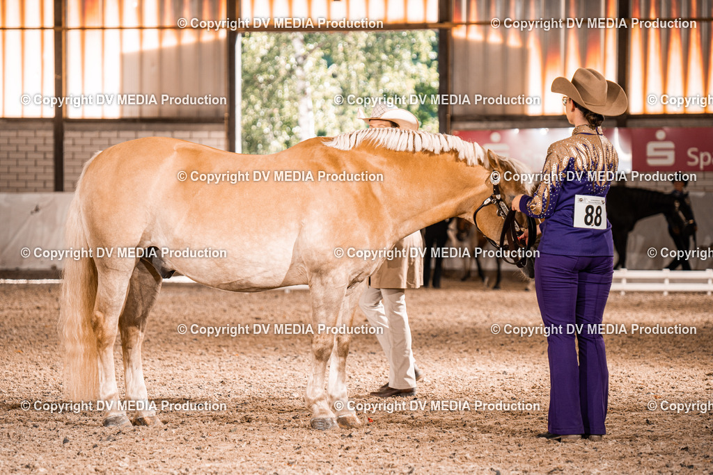 ZH100047 | dv-media-shop - Realisiert mit Pictrs.com