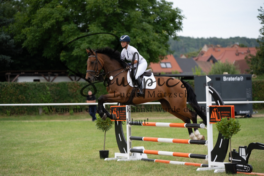 A7V01307 | Pferdefotograf