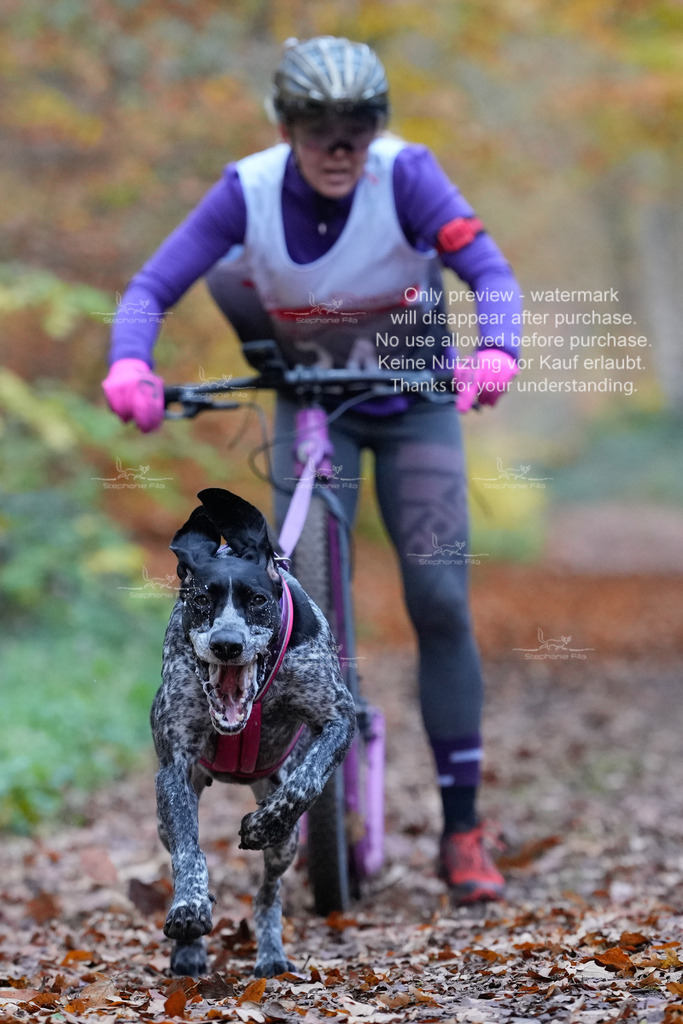 AusschnitteSo-70 | stephaniefillaphotographie - Realisiert mit Pictrs.com