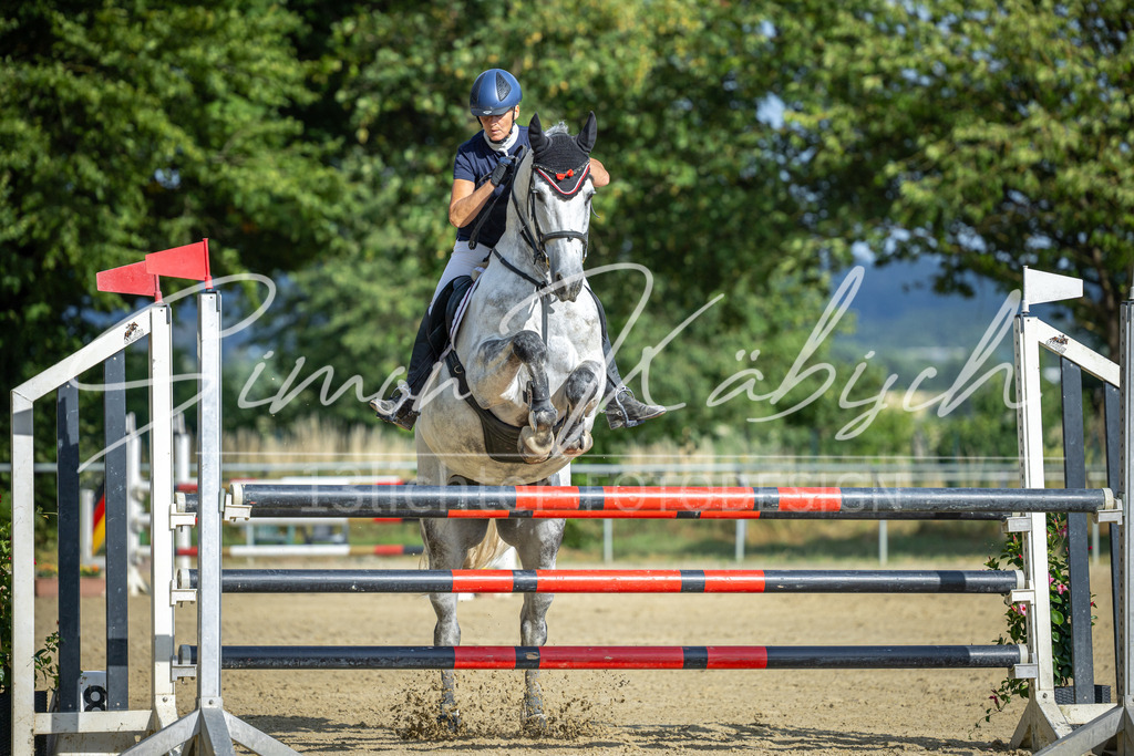20260704-_3LI2207 | Tierfotografie Pferde, Hunde, Katzen, Haustiere.
Turnierfotografie Reitturniere, Reiten, Springreiten, Dressur in Hanau, dem Main-Kinzig-Kreis und dem Rhein-Main- Gebiet um Frankfurt