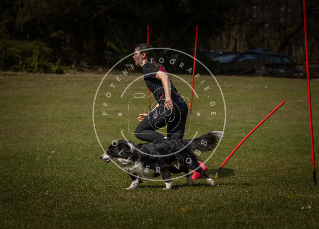 Pfotenfotografie_DV3A4996 | Hundefotografie, Tierfotograf, Pfotenfotografie, Fotoshooting Hund, Hunde Portrait, Hundesport, Hundeportraits, Heideshooting, Hunde, Sportfotograf, Hundefotograf, Turnierhundsport, THS,  - Realisiert mit Pictrs.com
