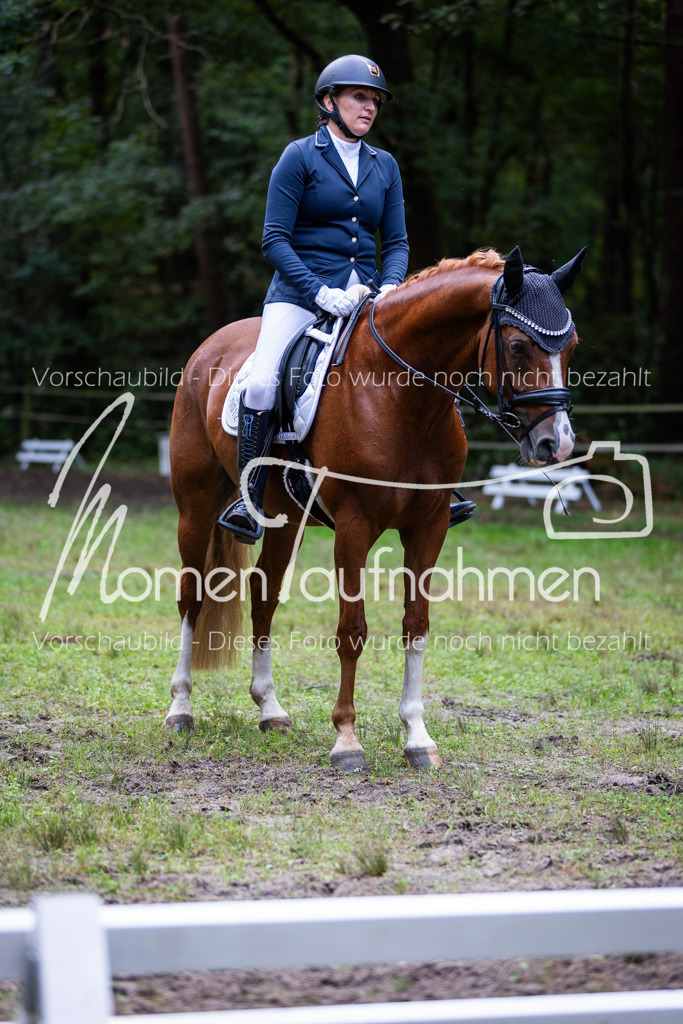 HB-A-Dressur-166 | MomenTaufnahmen Pferdesportfotos