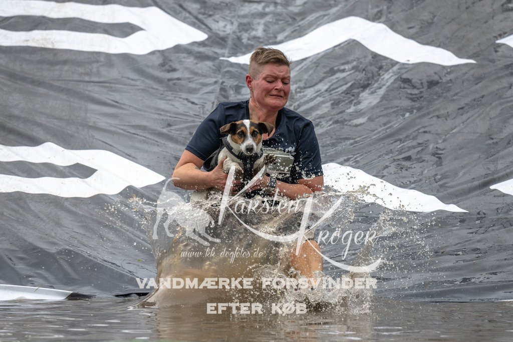 1559_ZZ91903 | kk-dogfotos