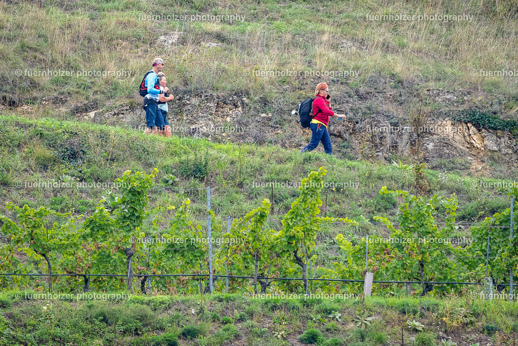 fuernholzer_251004-C3-329 | © Christian Fuernholzer | fuernholzer photography