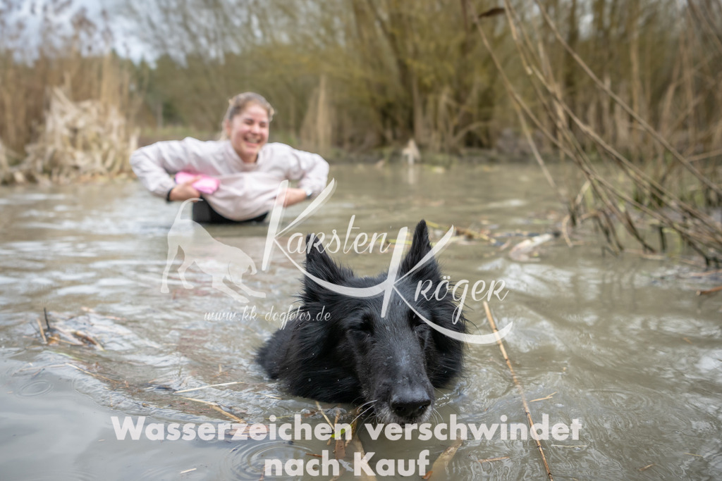1557_ZZ94759 | kk-dogfotos