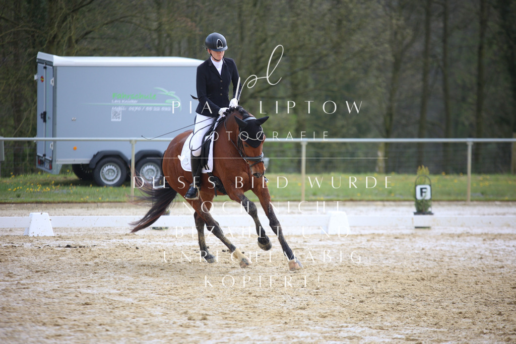 IMGT3611 | pl-fotografie